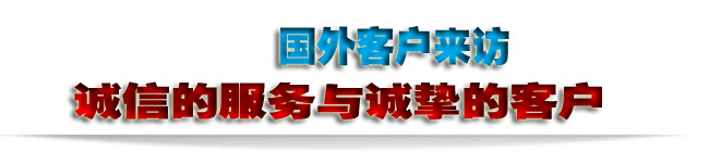 國(guó)外客戶來(lái)訪-2。。.jpg